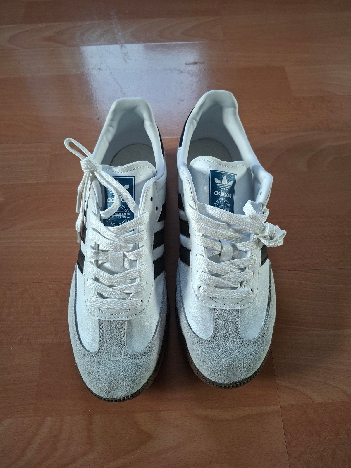 Adidas Samba nieuw 42, Kleding | Heren, Schoenen, Ophalen of Verzenden