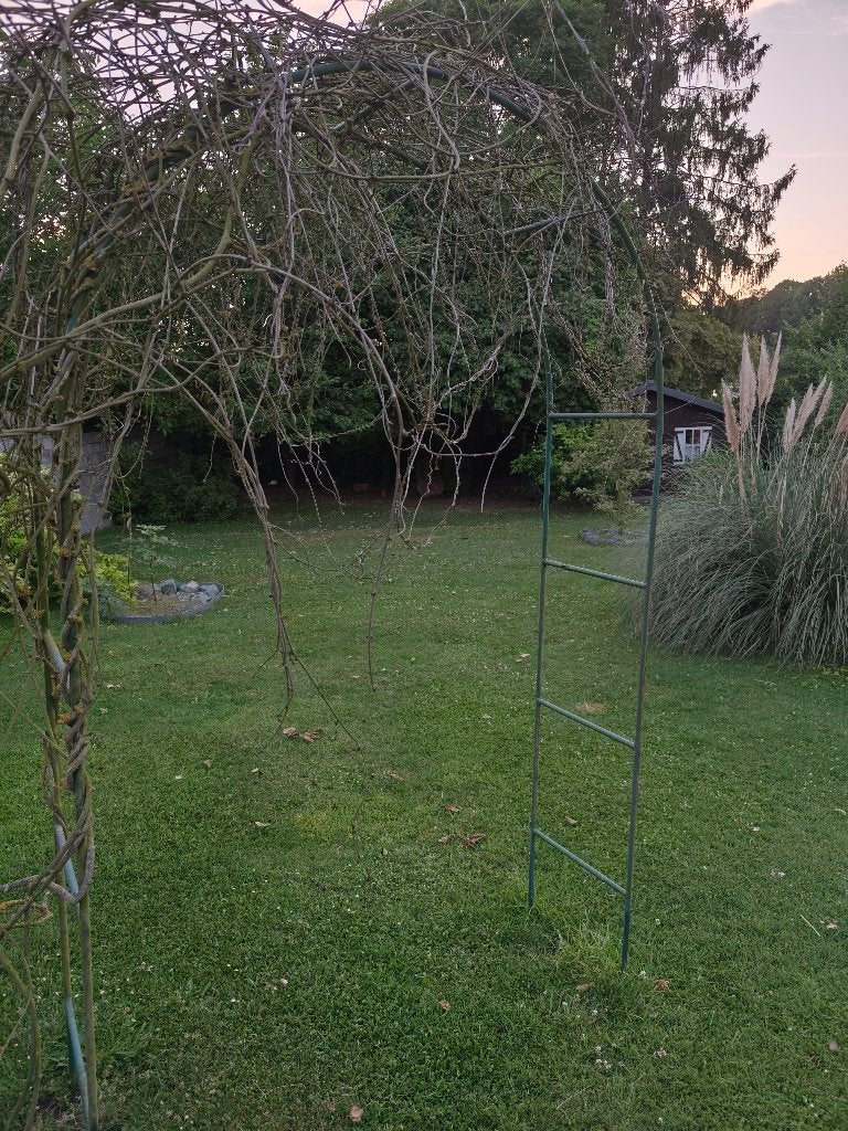Arche de jardin en métal pour plantes grimpantes, Enlèvement, Moins de 3 mètres, 2 mètres ou plus, Utilisé