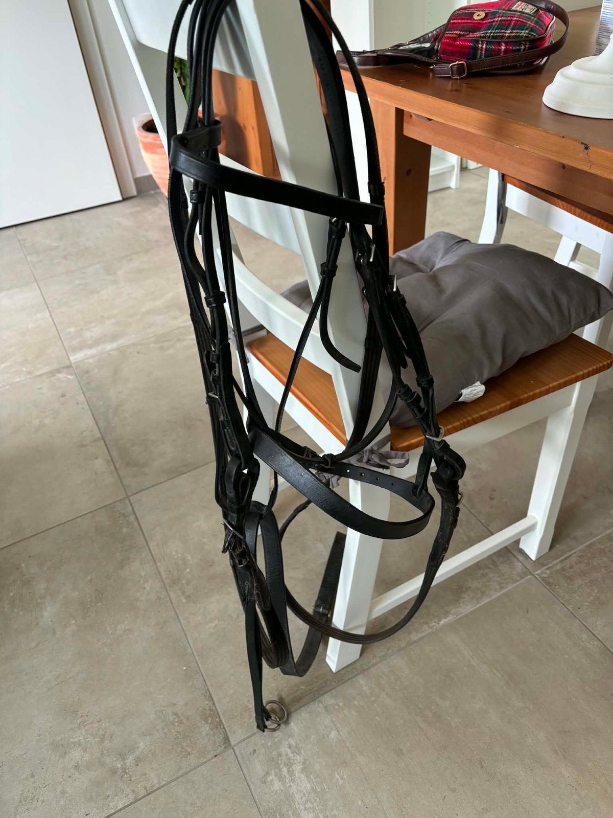 Bridon COB avec martingale, Enlèvement ou Envoi, Comme neuf, Cob