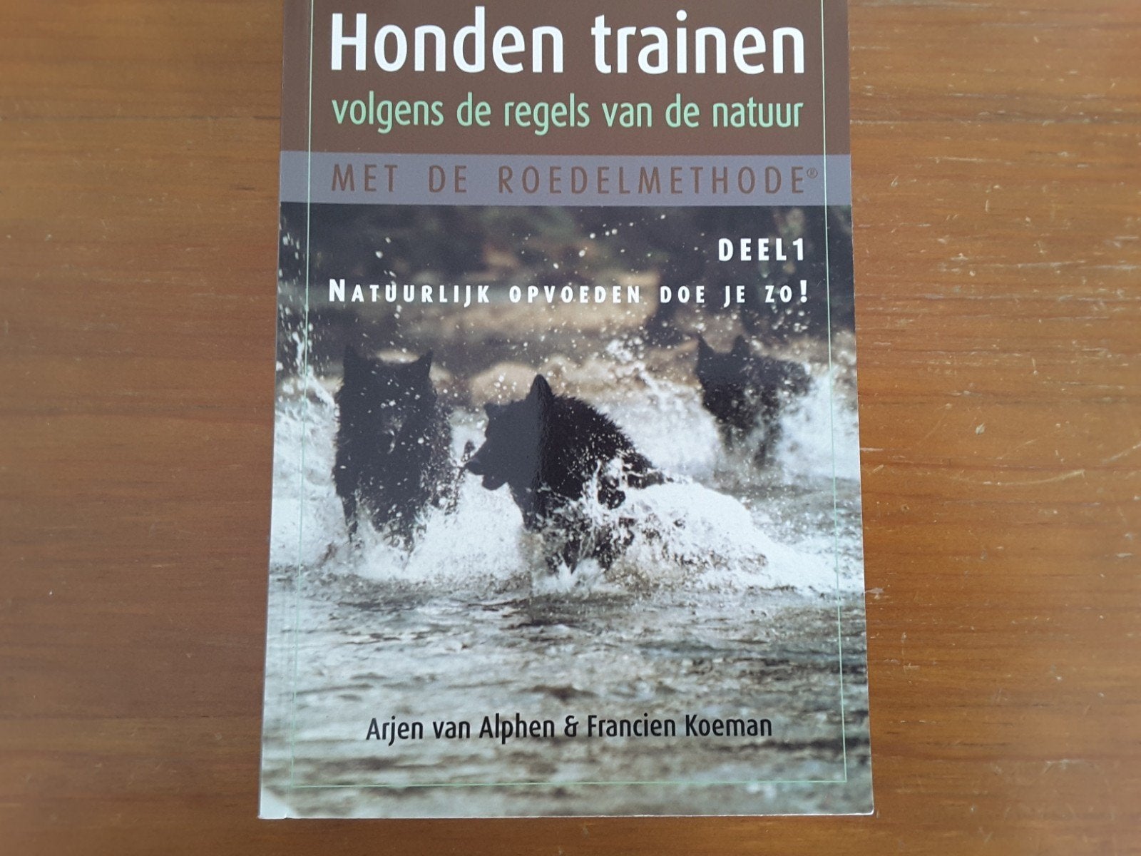Dresser vos chiens, Livres, Animaux & Animaux domestiques, Enlèvement ou Envoi, Neuf, Chiens