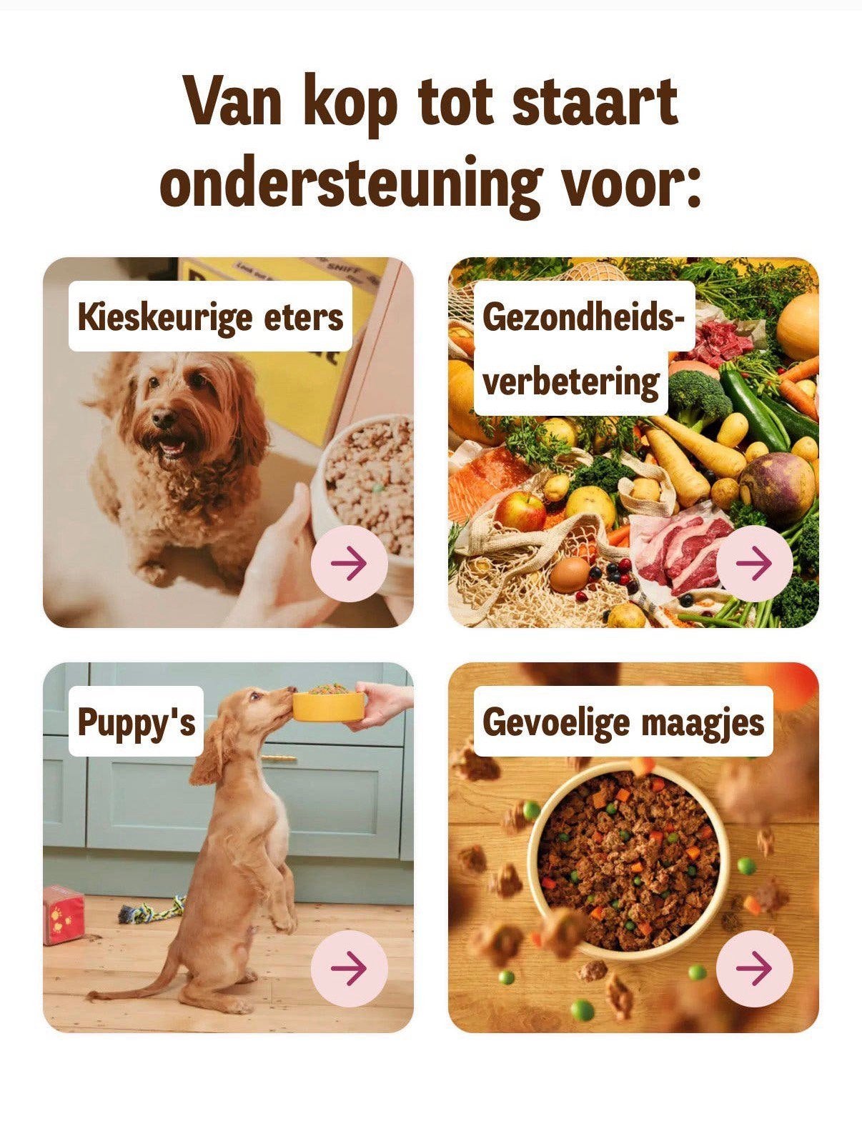 Butternut box maaltijden, Enlèvement, Chien