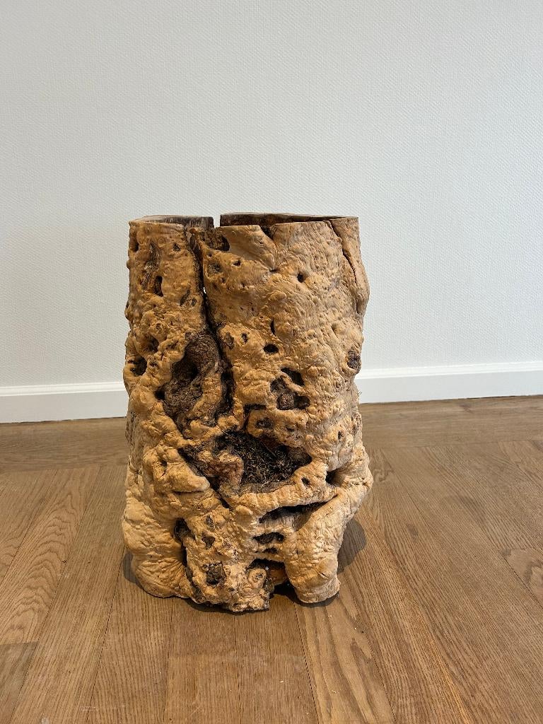 Tronc d'arbre en bois servant de vase ou de pot de fleurs, Enlèvement, Comme neuf
