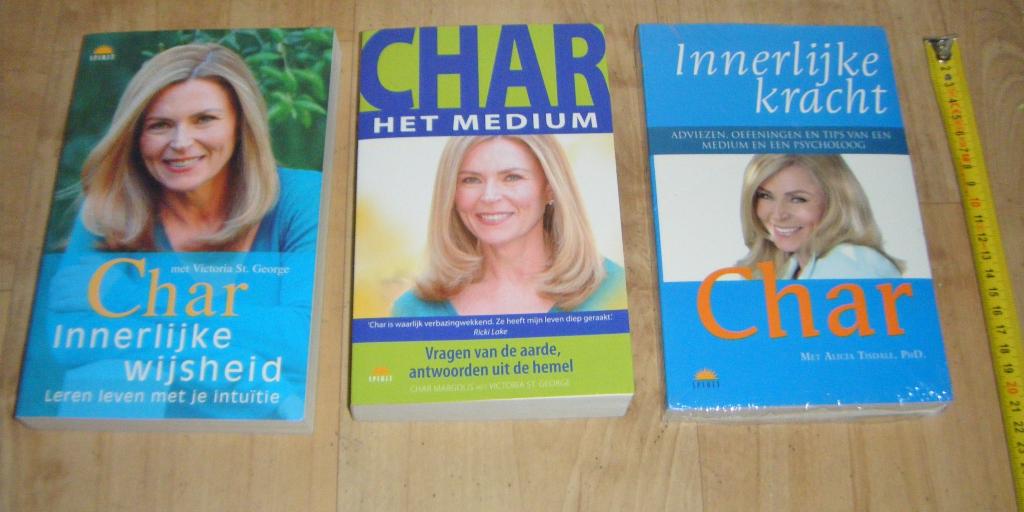 3x boeken van Char Margolis,nieuw!Ongelezen., Livres, Ésotérisme & Spiritualité, Neuf, Enlèvement ou Envoi, Char Margolis, Autres types