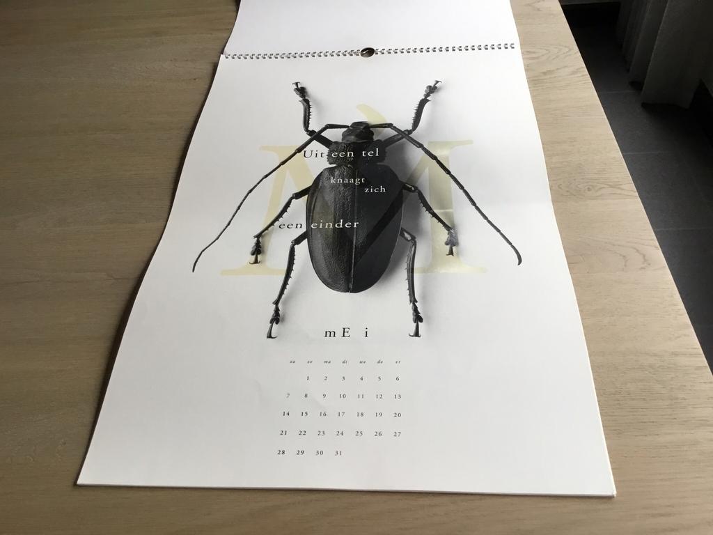 Artistieke jaarkalender, Divers, Calendriers, Enlèvement ou Envoi, Calendrier mensuel, Neuf