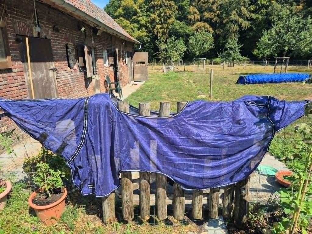 Vliegenuitrijddeken 135-185, Gebruikt, Overige merken, Cob (M), Vliegendeken