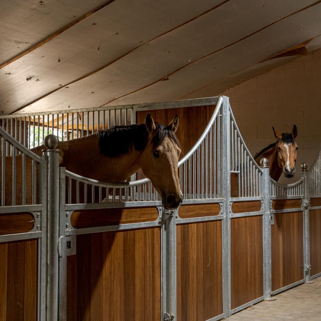 binnenboxen, Dieren en Toebehoren, Stalling en Weidegang, Stalling
