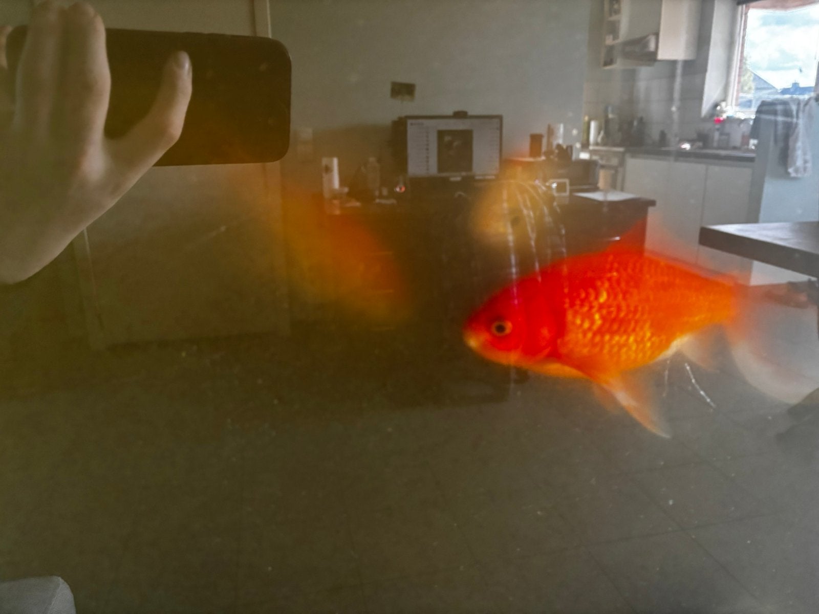 Aquarium met meubelstuk met vissen, Ophalen, Zo goed als nieuw