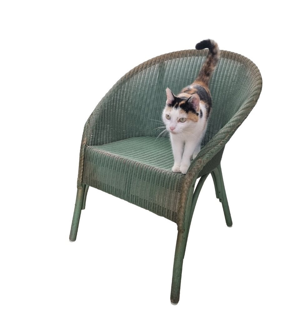 Lloyd Loom kuipfauteuil in groen - gedateerd Nov. 1954, Enlèvement