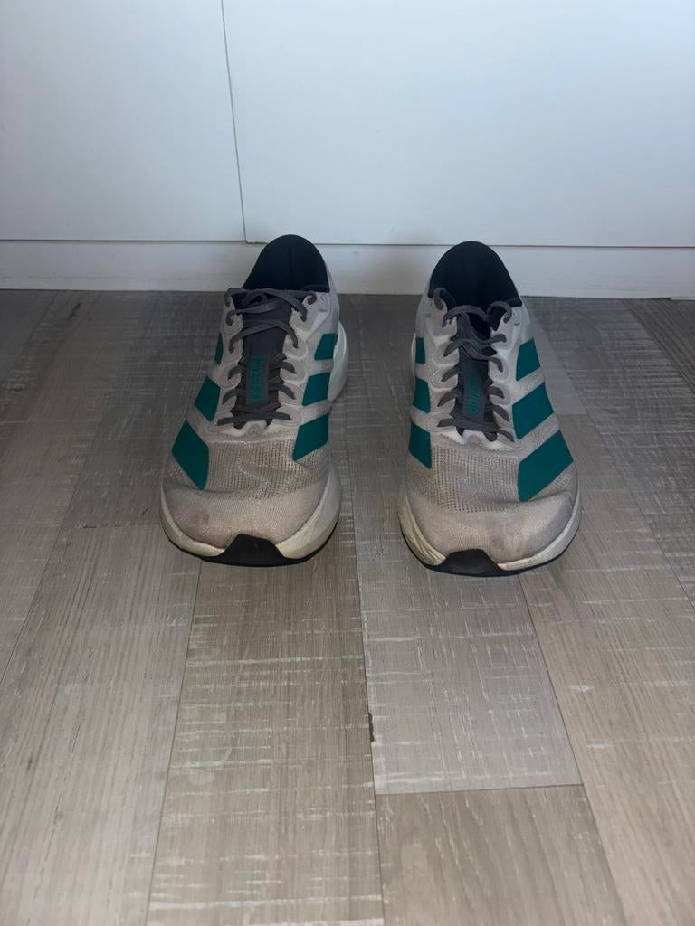 Adidas Adizero Evo SL, Adidas, Course à pied, Enlèvement ou Envoi, Chaussures de course à pied