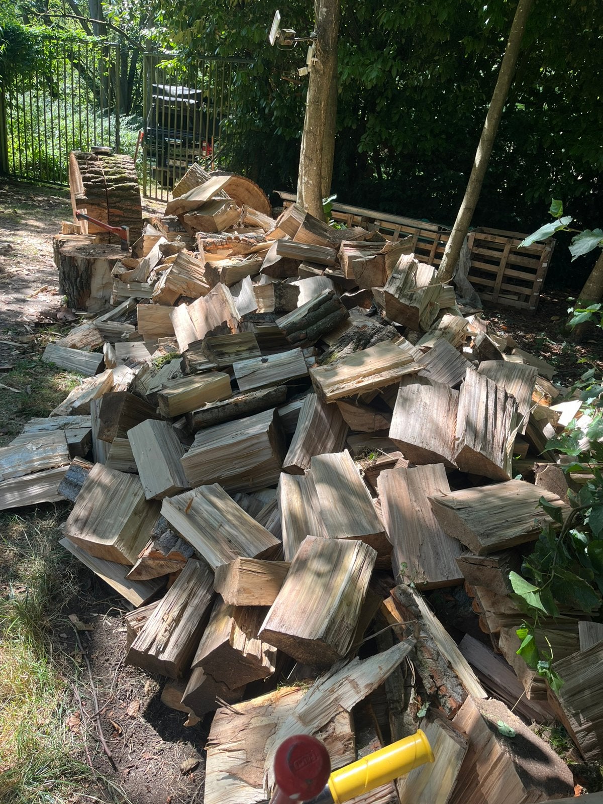 Populier, Tuin en Terras, Brandhout, Ophalen