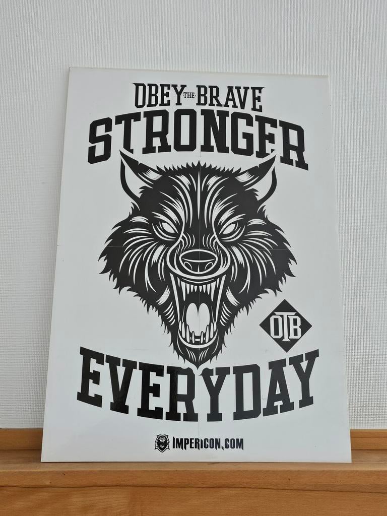 affiche du groupe de punk hardcore canadien Obey the Brave., Collections, Enlèvement ou Envoi