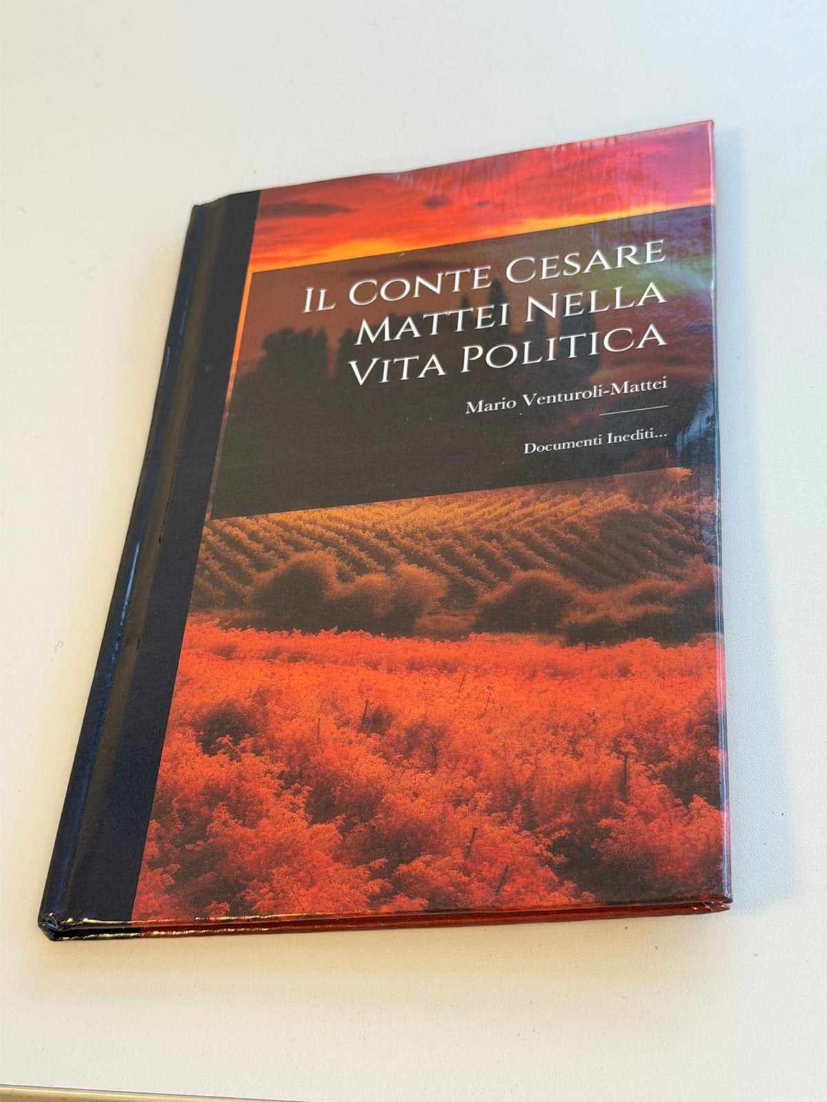 Il Conte Politica Couverture rigide, italien, Enlèvement ou Envoi, Neuf