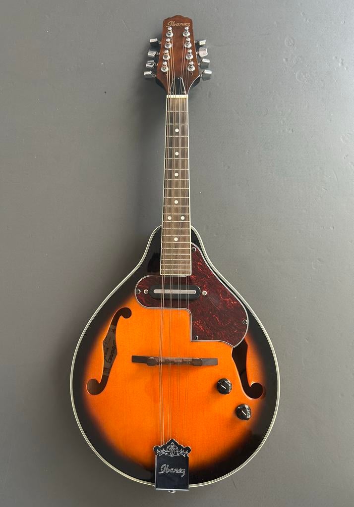 Mandoline Ibanez, Musique & Instruments, Instruments à corde | Mandolines, Enlèvement, Utilisé
