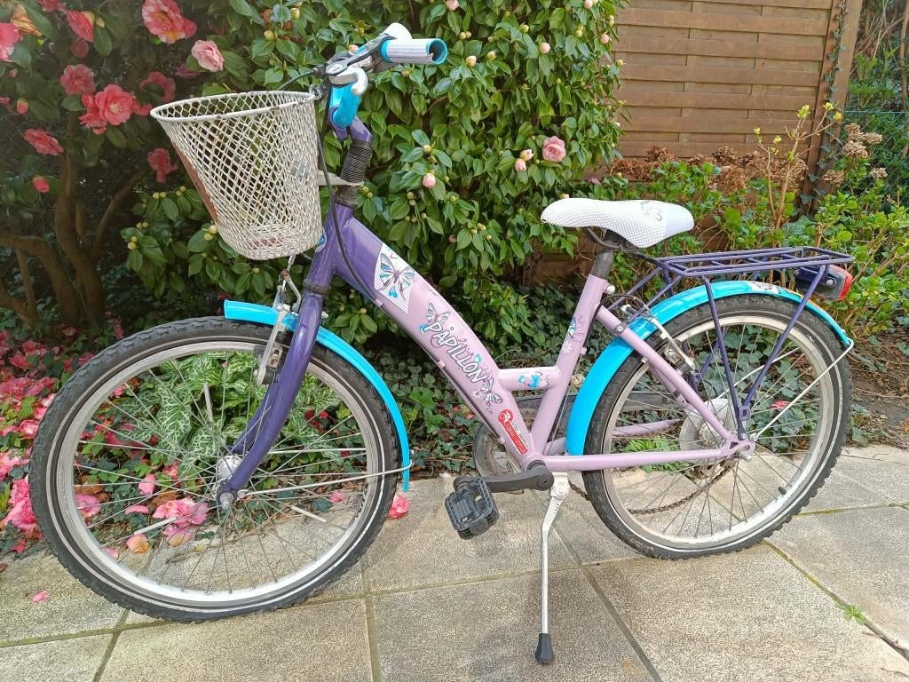 kinderfiets meisje, Fietsen en Brommers, Ophalen, Gebruikt, 22 inch, Papillon