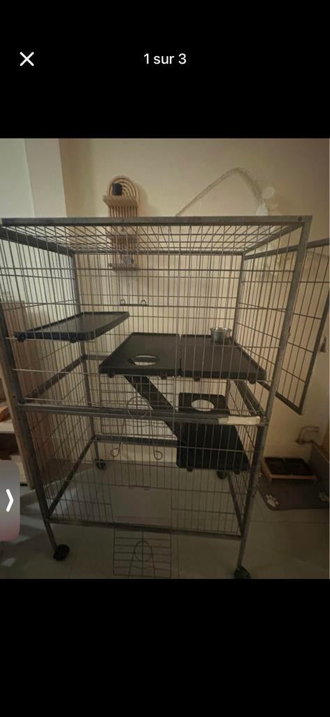Cage rongeur a vendre, Animaux & Accessoires, Enlèvement, Utilisé
