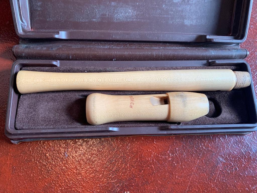 Blok fluit Moech, Musique & Instruments, Instruments à vent | Flûtes à bec, Enlèvement ou Envoi, Utilisé, Autres types, Avec valise, étui ou housse