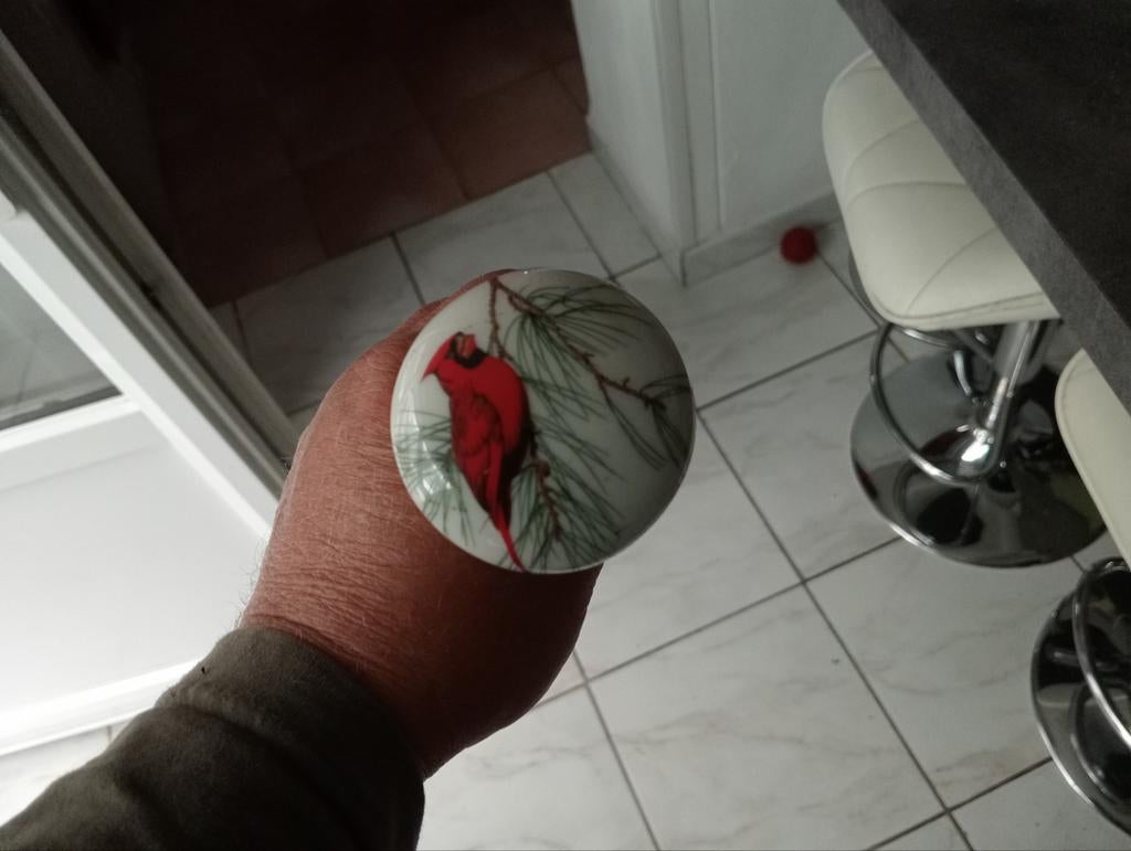 Canne pommeau en porcelaine ( oiseau)