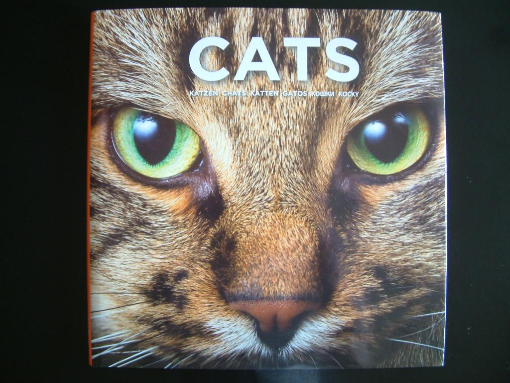 Bel Album photos Chats, Enlèvement ou Envoi, Neuf, Divers auteurs