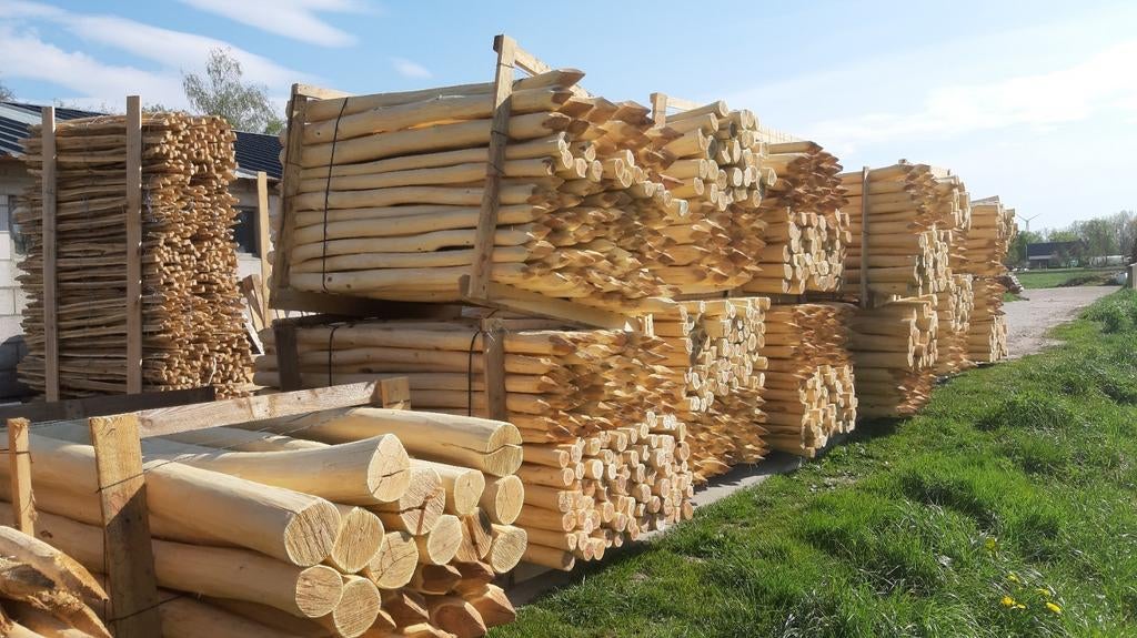 Robinia palen planken hekwerk, Enlèvement ou Envoi, Neuf, Poteaux, Bois dur