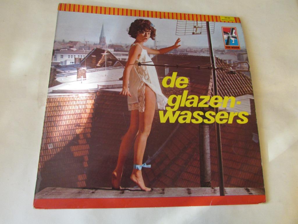 DE GLAZENWASSERS, LP, Cd's en Dvd's, Vinyl | Nederlandstalig, Gebruikt, Levenslied of Smartlap, 12 inch, Ophalen of Verzenden
