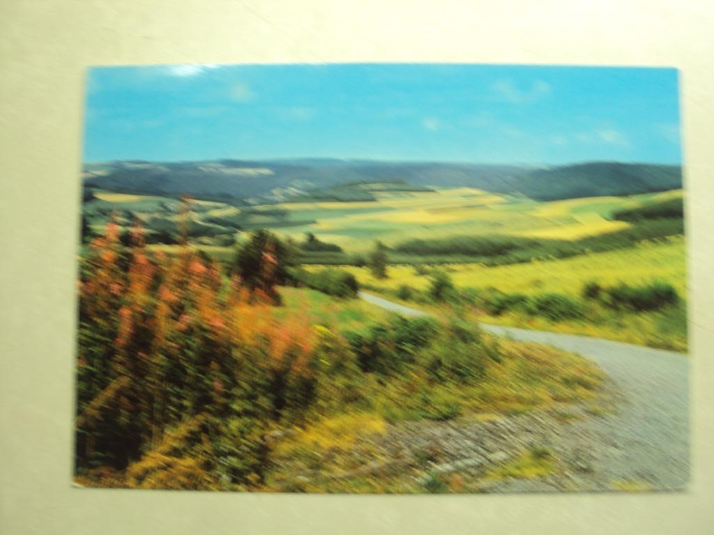 53911 - LES ARDENNES BELGES PITTORESQUES, Collections, Cartes postales | Belgique, Envoi