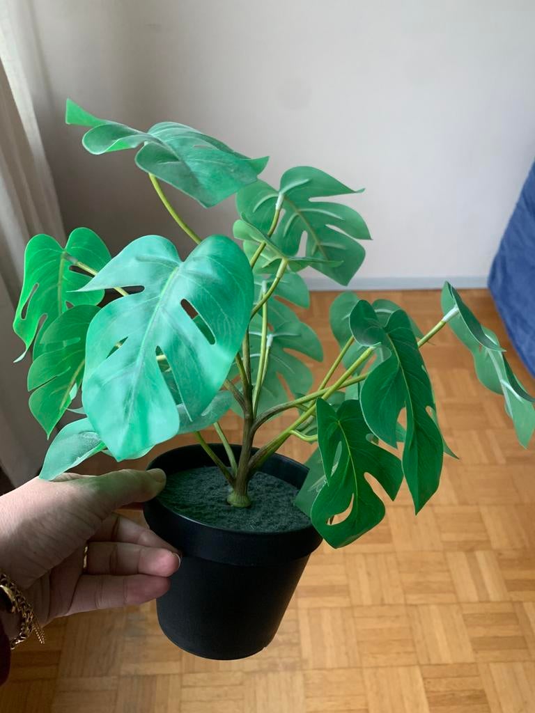 Plante vert artificielle, Enlèvement