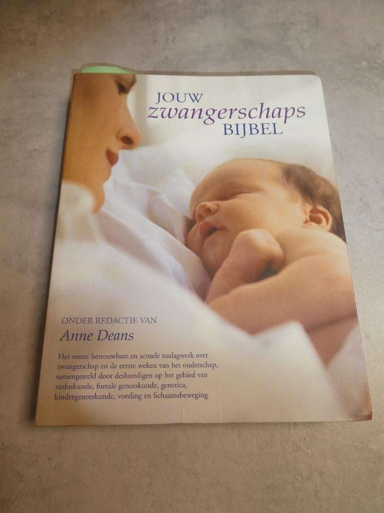 Jouw zwangerschapsbijbel, Ophalen of Verzenden, Zo goed als nieuw, Zwangerschap en Bevalling, Ann Deans