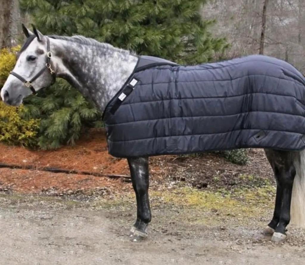 Onderdeken 200gr, Dieren en Toebehoren, Paarden en Pony's | Dekens en Dekjes, Ophalen of Verzenden, Nieuw, Deken