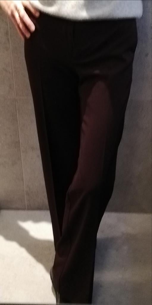 Pantalon droit bordeaux, prune. Coupe amincissante., Enlèvement ou Envoi, Neuf, Taille 36 (S)