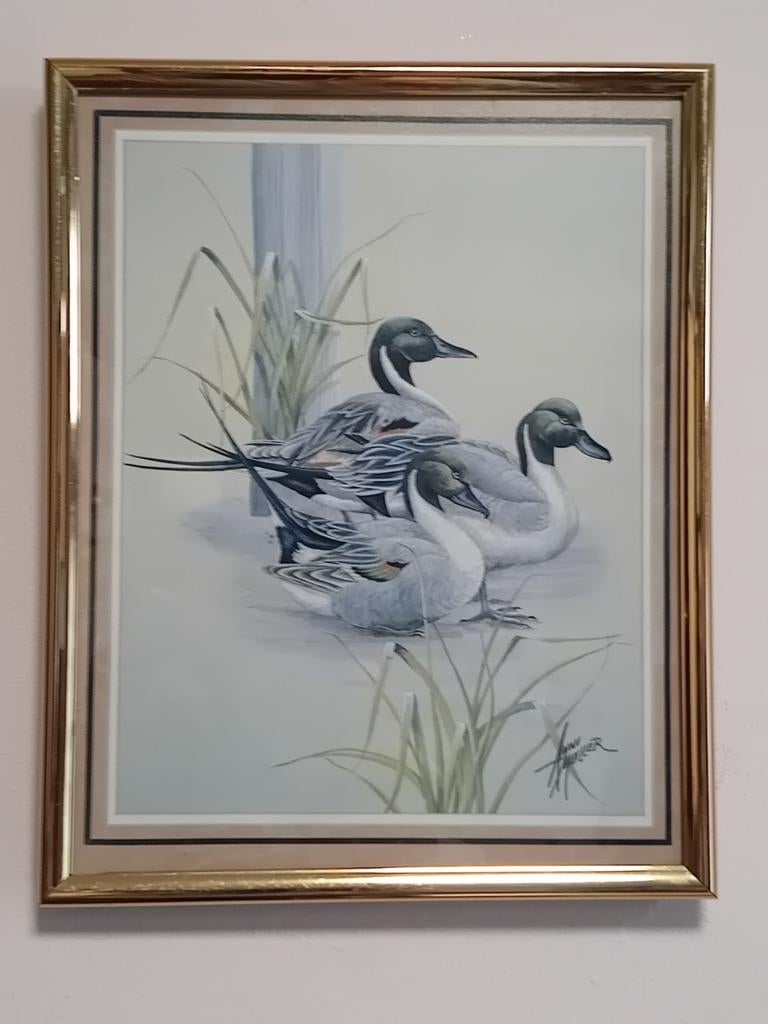 Cadre de canard signée Anni Moller, Enlèvement ou Envoi