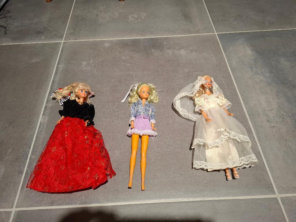 3 Barbie poppen, fiets, paard, vakantie-toebehoren, Ophalen of Verzenden, Gebruikt, Barbie
