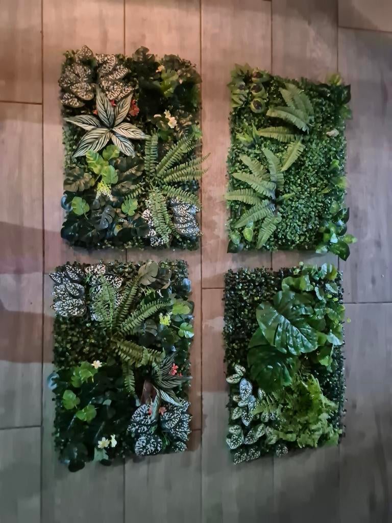 Achterwanden en terrarium, Dieren en Toebehoren, Ophalen