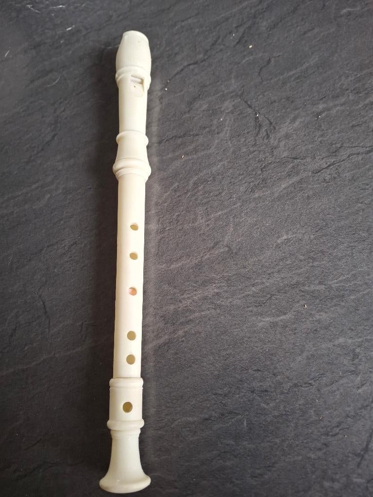 Blokfluit in pvc, Ophalen, Gebruikt, Kunststof