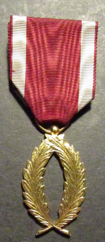 Gouden palm in de orde van de kroon - medaille, Ophalen, Landmacht, Lintje, Medaille of Wings
