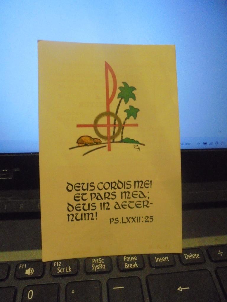 priesterzalving P.Jan Baptist, Enlèvement ou Envoi, Comme neuf, Carte ou Gravure, Christianisme | Catholique