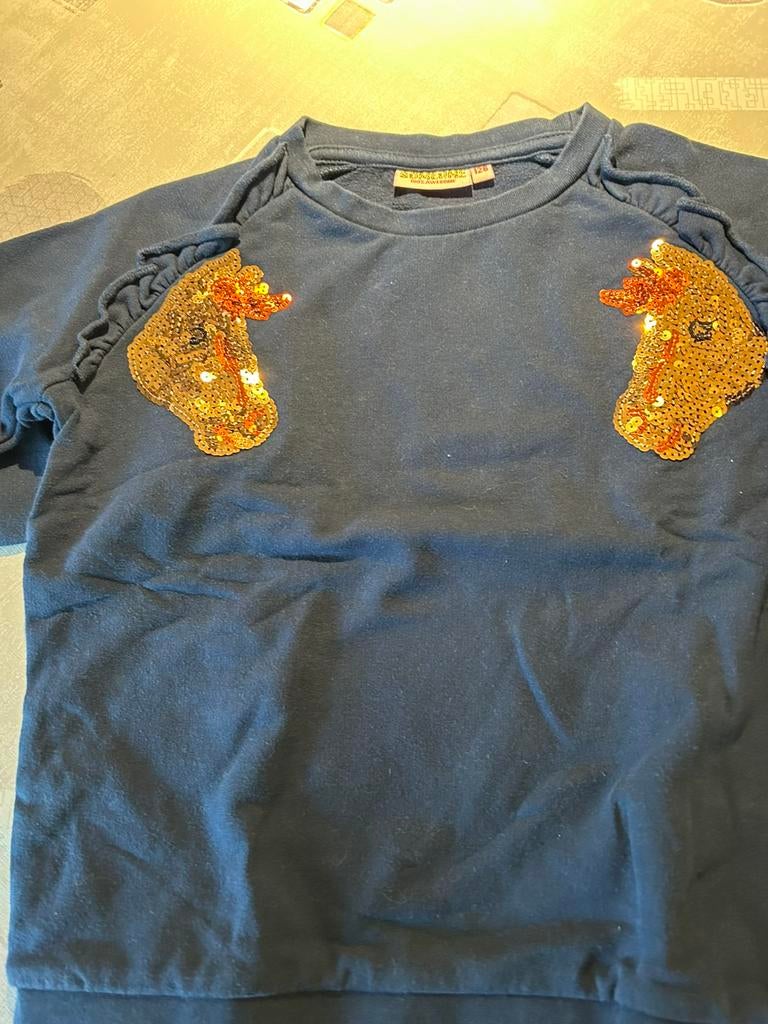 Blauwe trui maat 128, Kinderen en Baby's, Kinderkleding | Maat 128, Ophalen, Meisje, Trui of Vest, Zo goed als nieuw