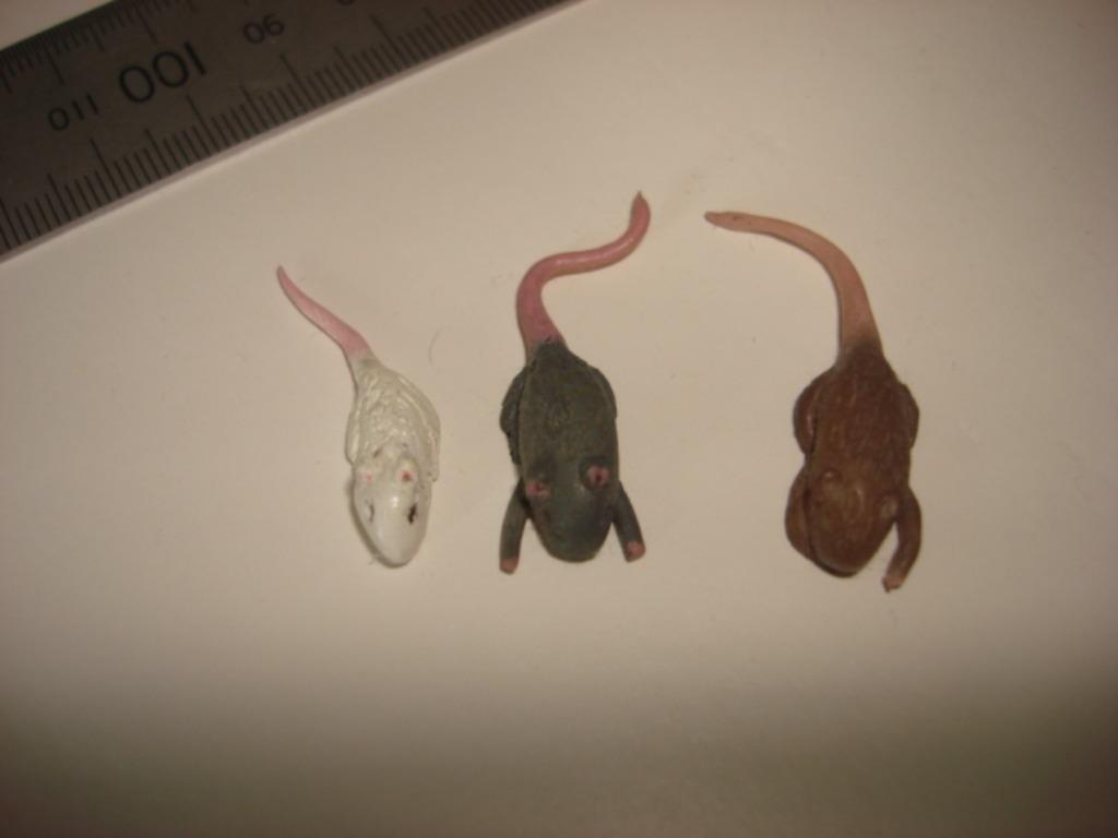V-figuren (bezoekers) Zeldzame vintage babymuis!!!, Verzamelen, Beelden en Beeldjes, Ophalen of Verzenden, Nieuw