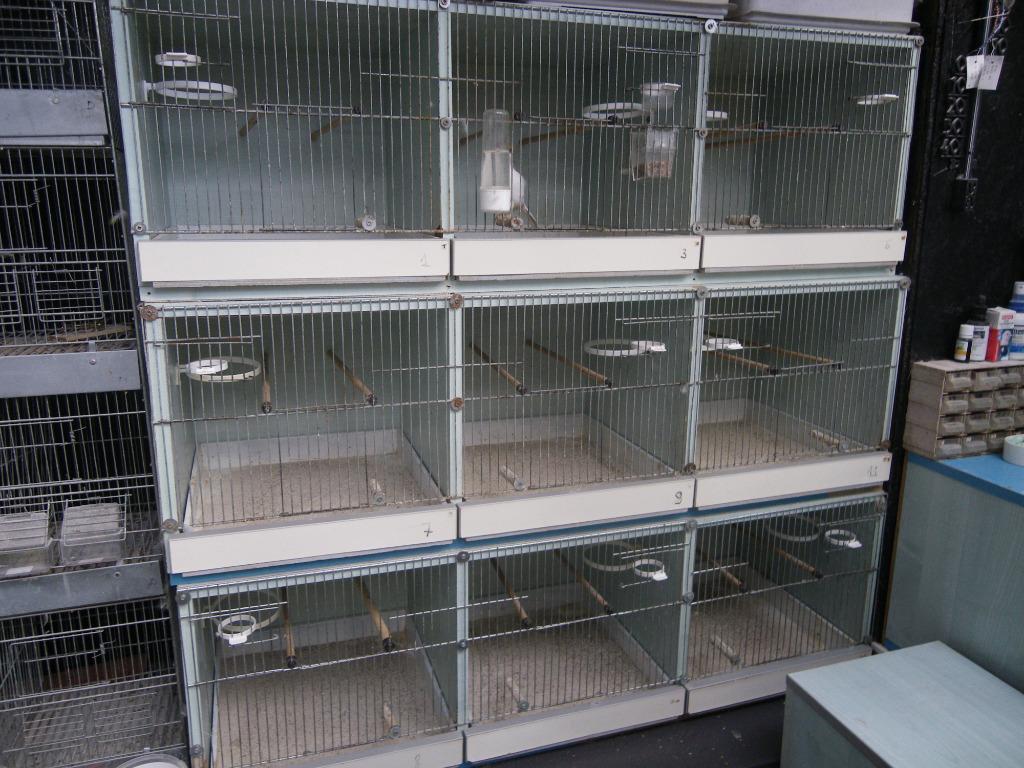 Kweekkooien nodig  16 kweekkooien + toebehoren, Enlèvement, Comme neuf, Bois, Cage d'élevage