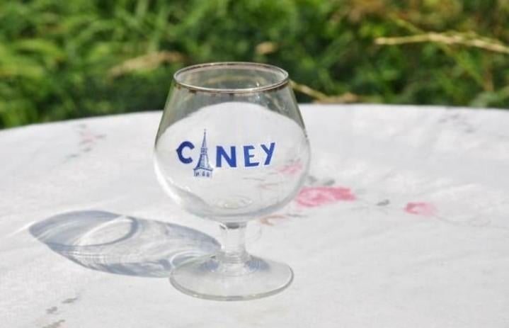 § verre galopin ciney 15cl, Ophalen of Verzenden, Zo goed als nieuw, Glas of Glazen, Overige merken