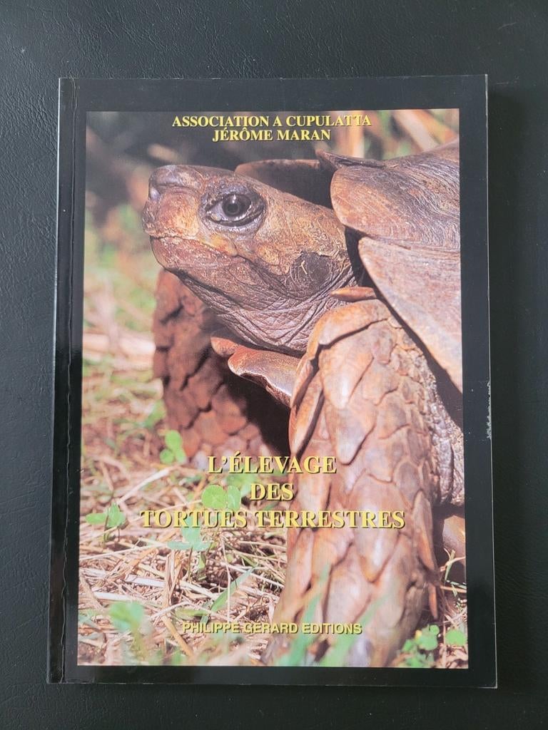 L'élevage des tortues terrestres, Livres, Animaux & Animaux domestiques, Comme neuf, Enlèvement ou Envoi