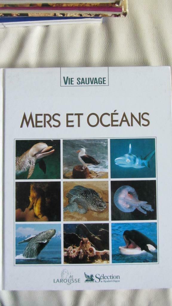 Mers et océans, Boeken, Streekboeken en Streekromans, Nieuw, Ophalen of Verzenden