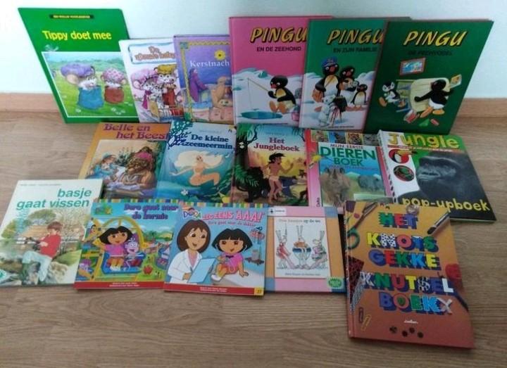 Groot boekenpakket, in goede staat!!, Enlèvement ou Envoi, Comme neuf