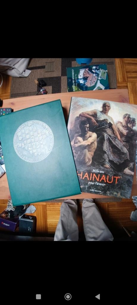 Livre Hainaut mille ans pour l'avenir (fonds mercator), Enlèvement ou Envoi, Comme neuf