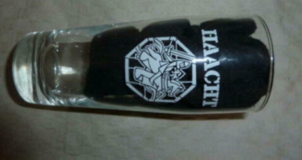 #A bier glas HAACHT wit logo zonder ribbels 25cl, Ophalen of Verzenden, Nieuw, Bierglas