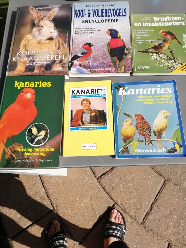 Dieren boeken, Enlèvement ou Envoi, Comme neuf