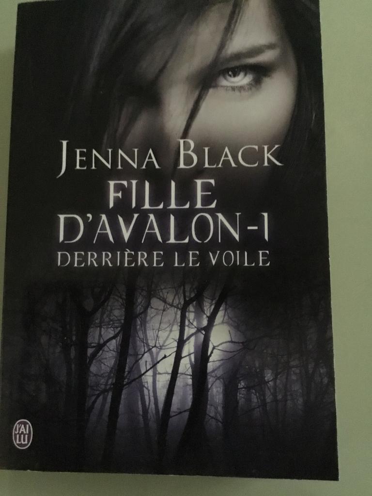 Livre Fille d’Avalon tome 1, Boeken, Ophalen of Verzenden, Gelezen