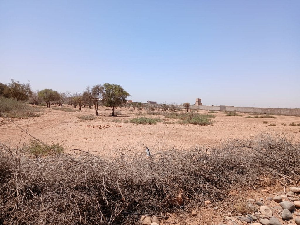 Terrain de 5000 m constructible région d agadir Maroc, Stad