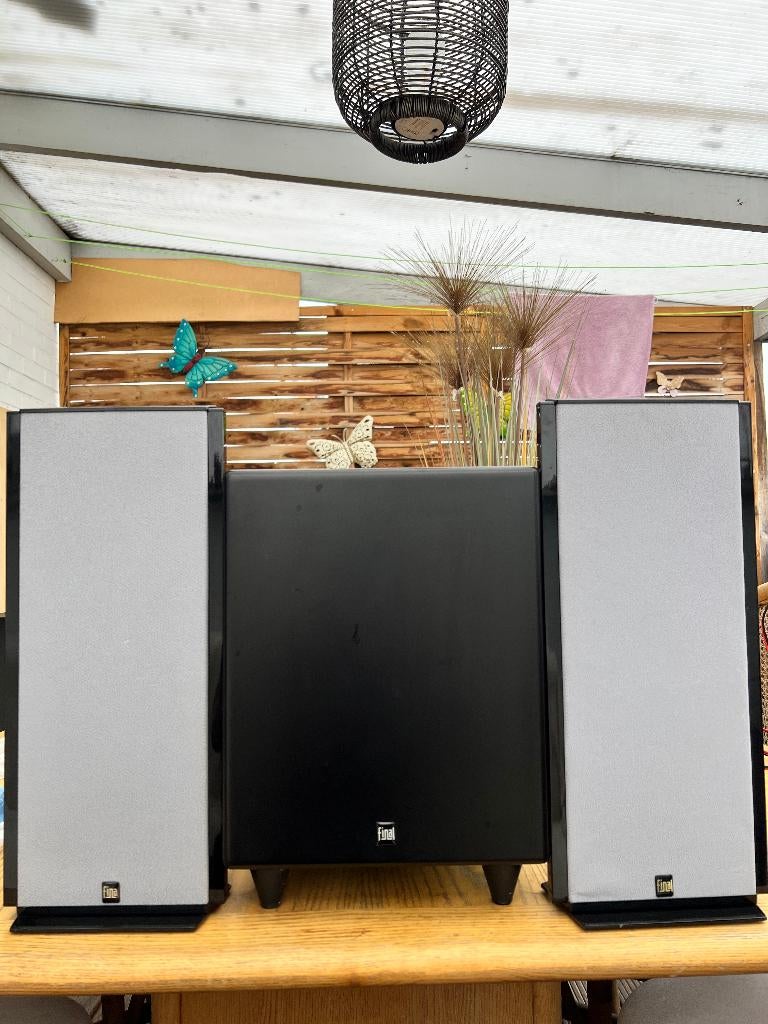 Final subwoofer type S95, Audio, Tv en Foto, Luidsprekerboxen, Ophalen, Zo goed als nieuw, 60 tot 120 watt, Subwoofer