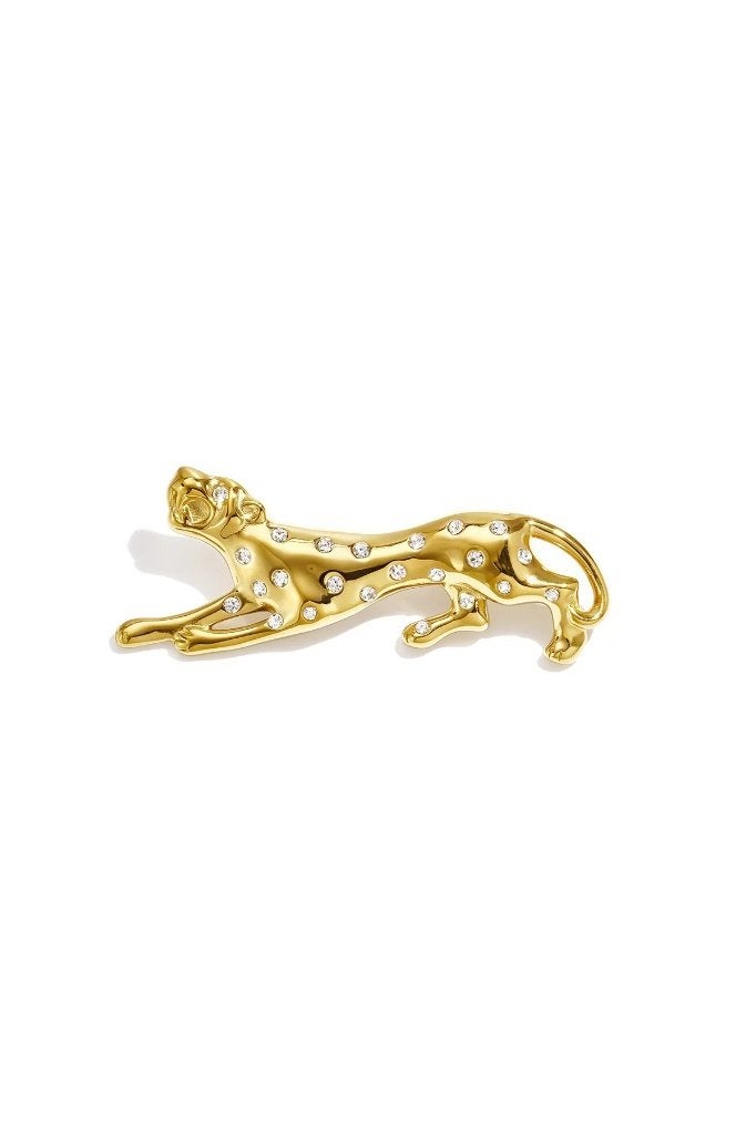 Broches met dierenprint, eenvoudige roestvrijstalen broches, Handtassen en Accessoires, Ophalen of Verzenden, Nieuw, Met strass