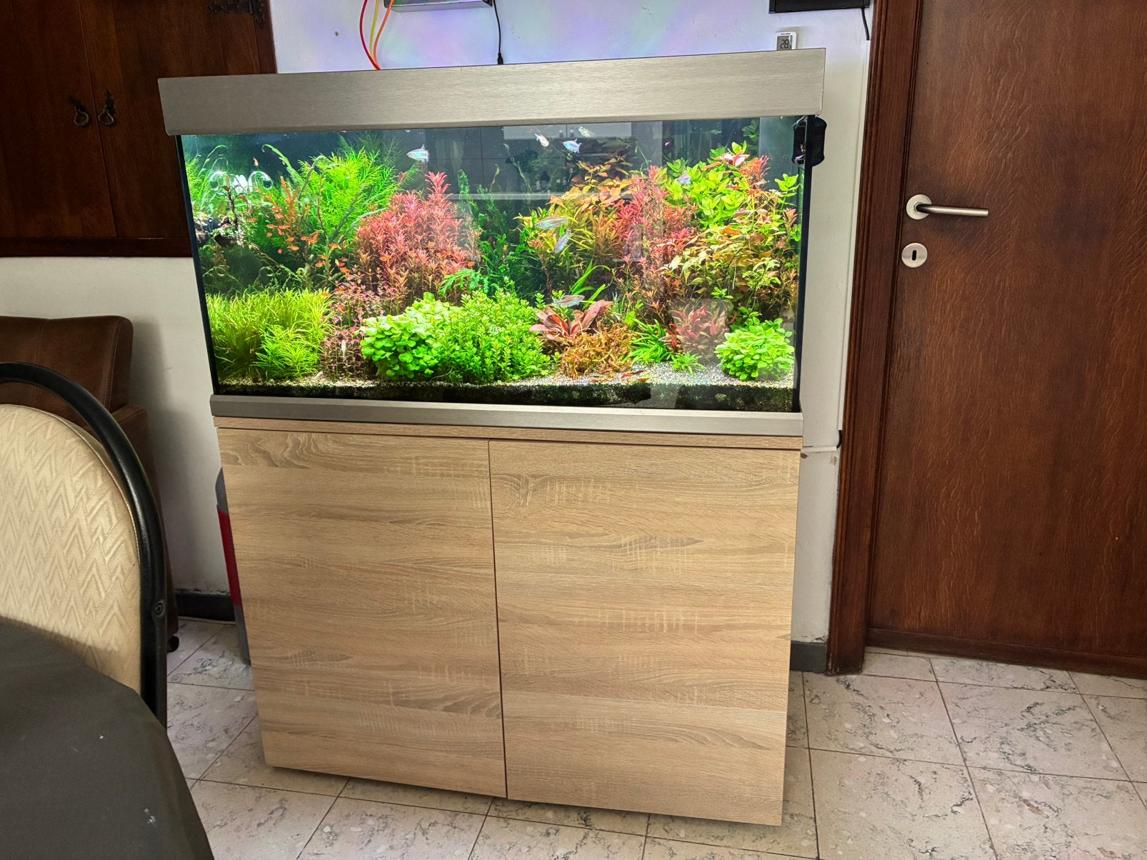 Mooi zoetwater aquarium merk Eheim, Ophalen, Inclusief vissen, Eheim, Gevuld zoetwateraquarium